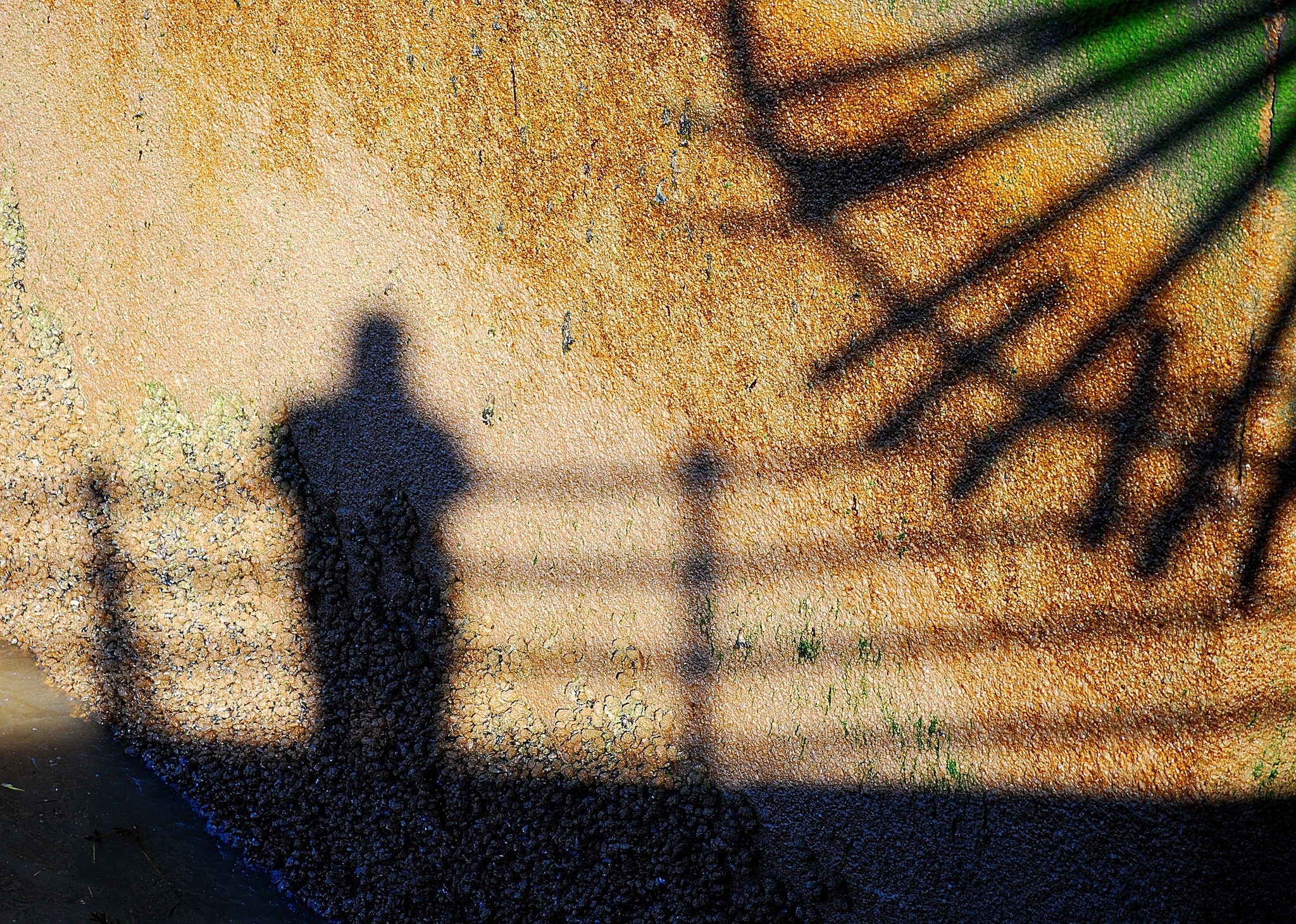 Woodside Ferry shadows by Phil Coalter