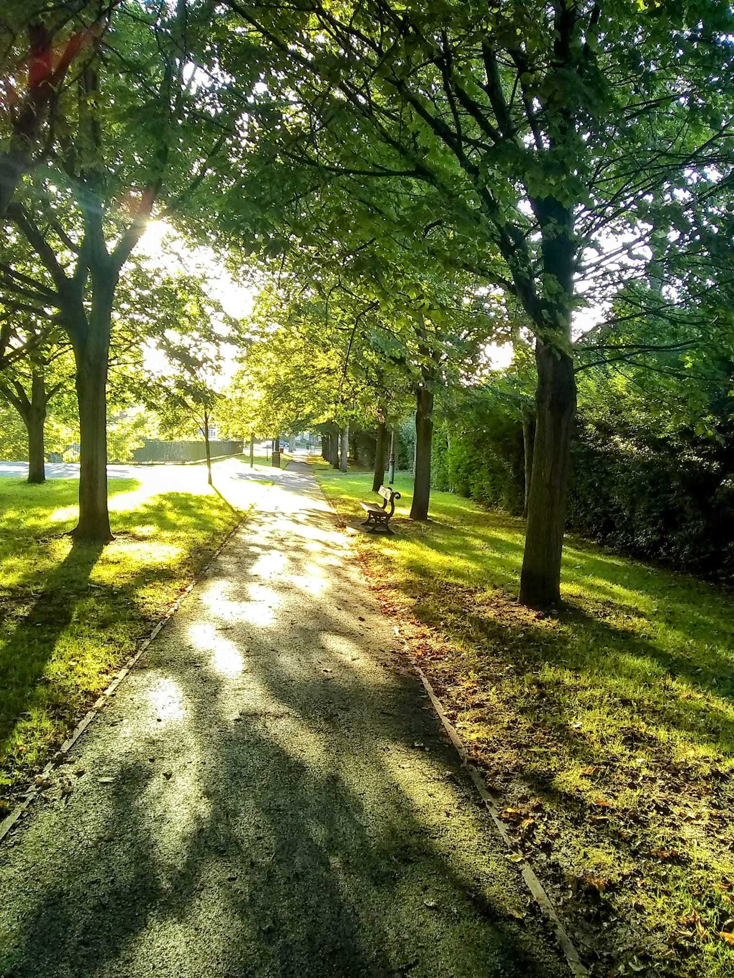 Shadows in Port Sunlight by Julie Longshaw